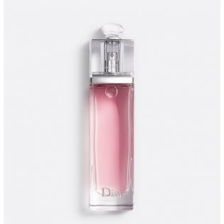 Penagih Dior